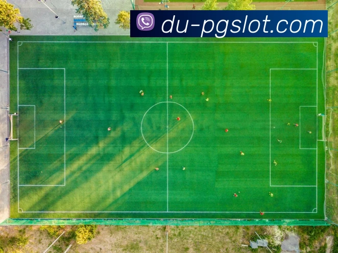 PG电子官网APP 封面图